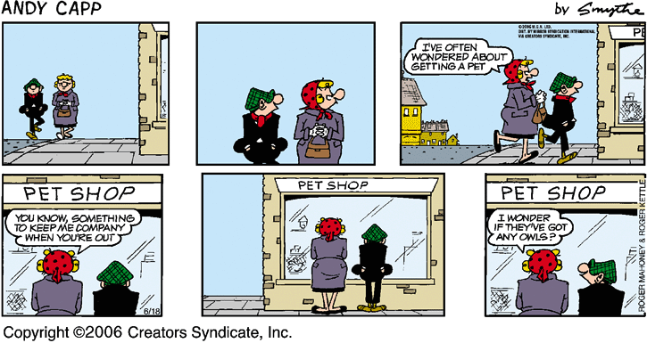 andycapp